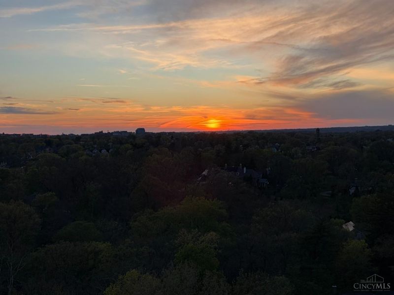 2324 Madison Road, Unit 1208, Cincinnati, OH 45208 Photo 33