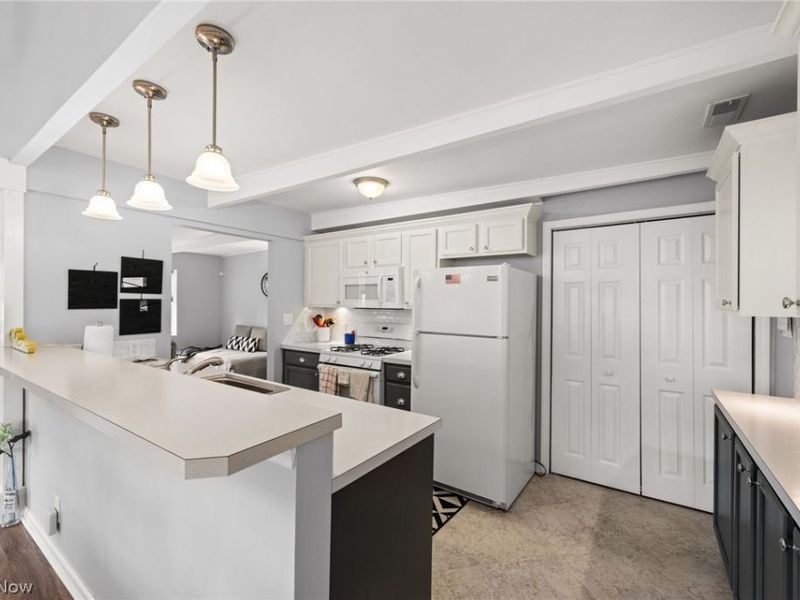 267 Rustic Rook Road, Chippewa Lake, OH 44215 Photo 10