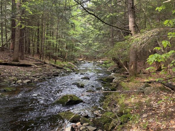 4 Bog Brook Loop, West Paris, ME 04289