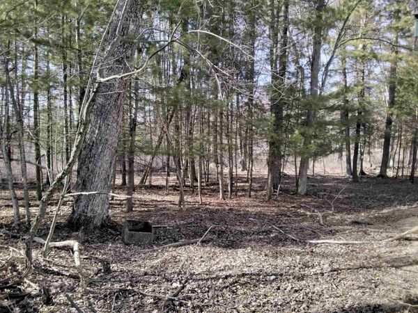 W1080 Dover Road, Neshkoro, WI 54960