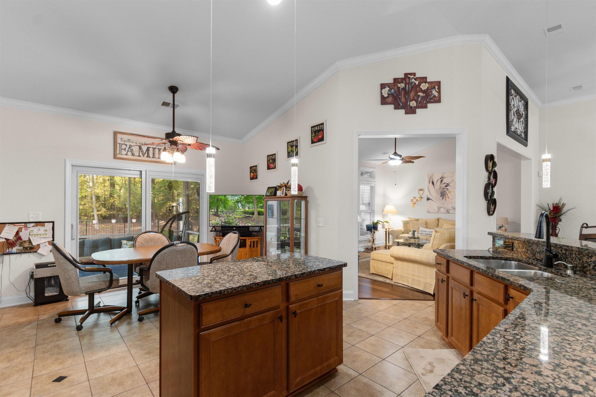 244 Tilly Ct. Photo 10