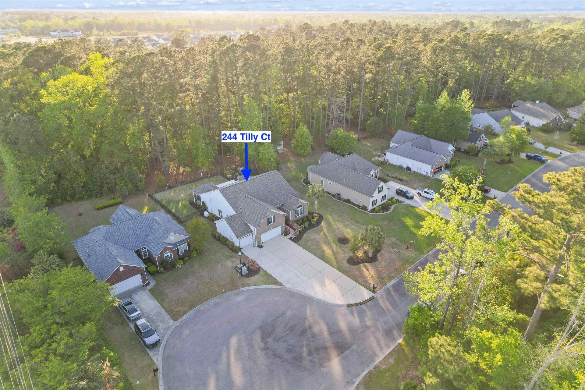 244 Tilly Ct. Photo 45