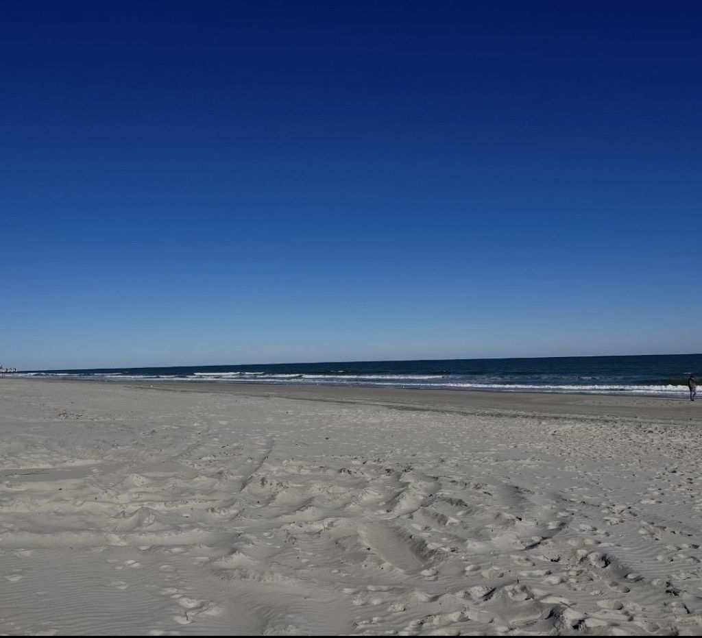 8260 Tartan Ln. Photo 33