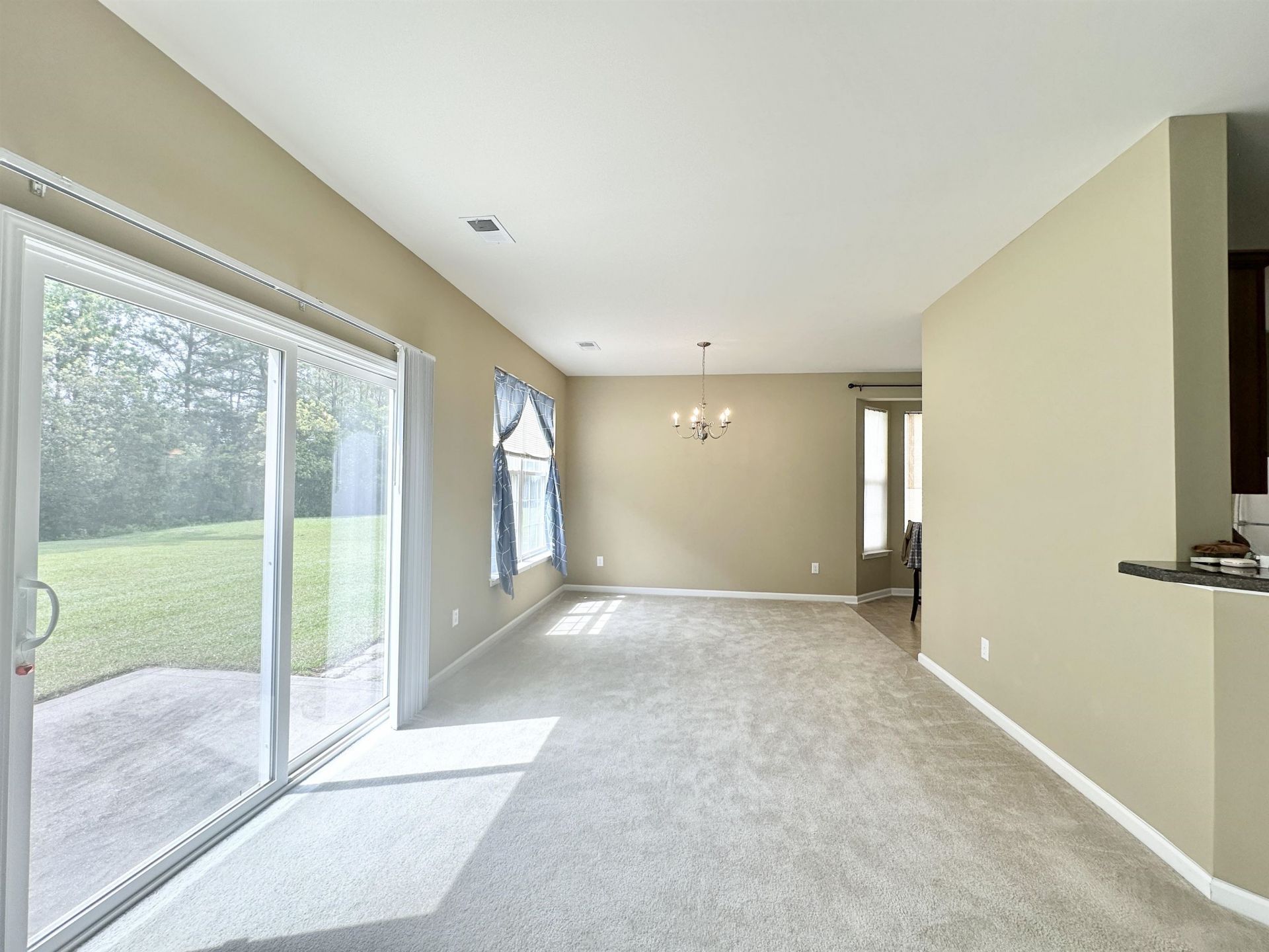 1308 Wellfound Ct. Photo 14