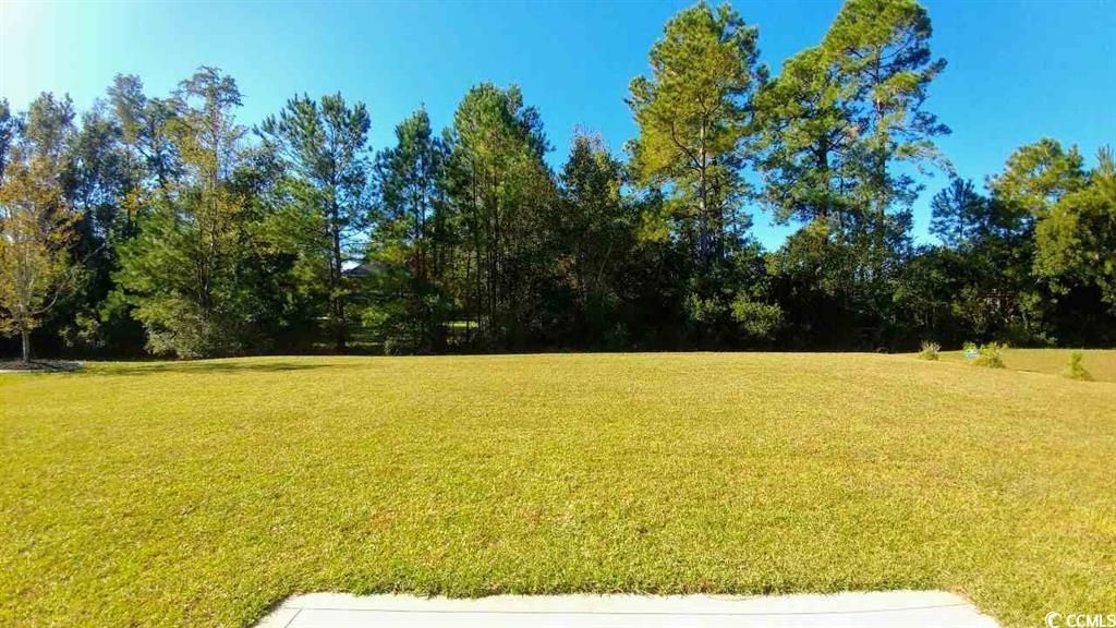 1308 Wellfound Ct. Photo 29