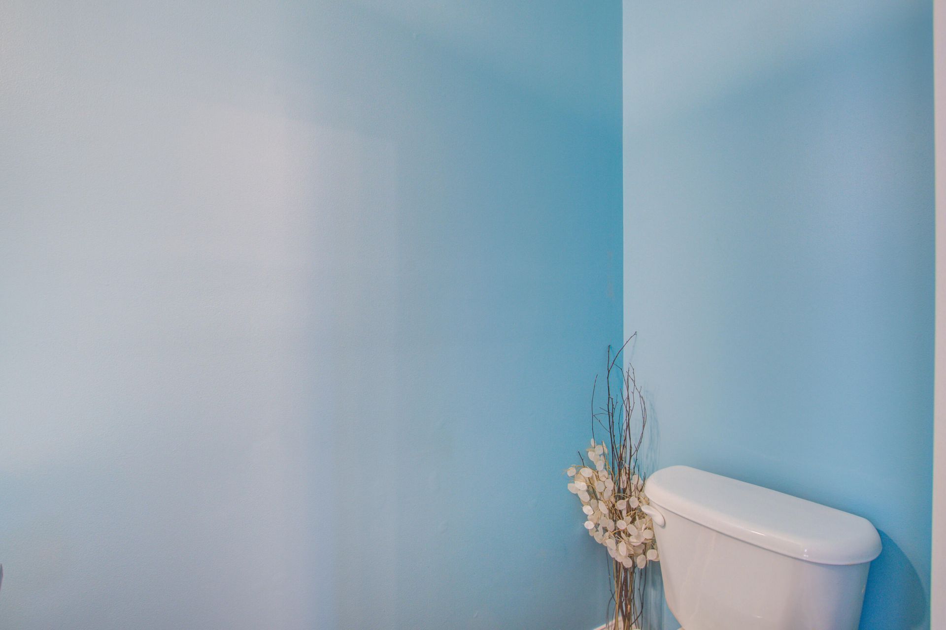 129 Full Moon Court Photo 21