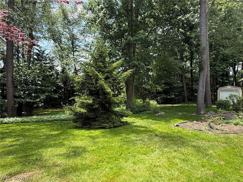 1800 Amarillo Street NW, North Canton, OH 44720 Photo 5
