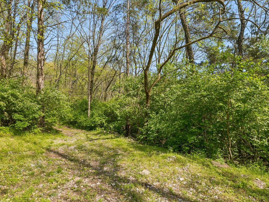 Property Image 51
