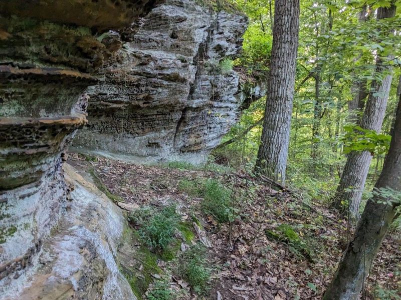 12683 Jack Run Road , Lancaster, OH 43130 Photo 35