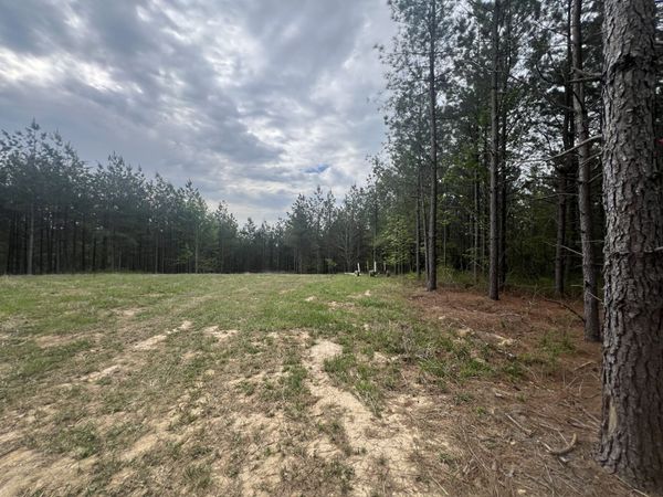 36 Pafford Lane , Erin, TN 37061