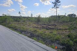 1285 Cheyenne Rd. photo 4