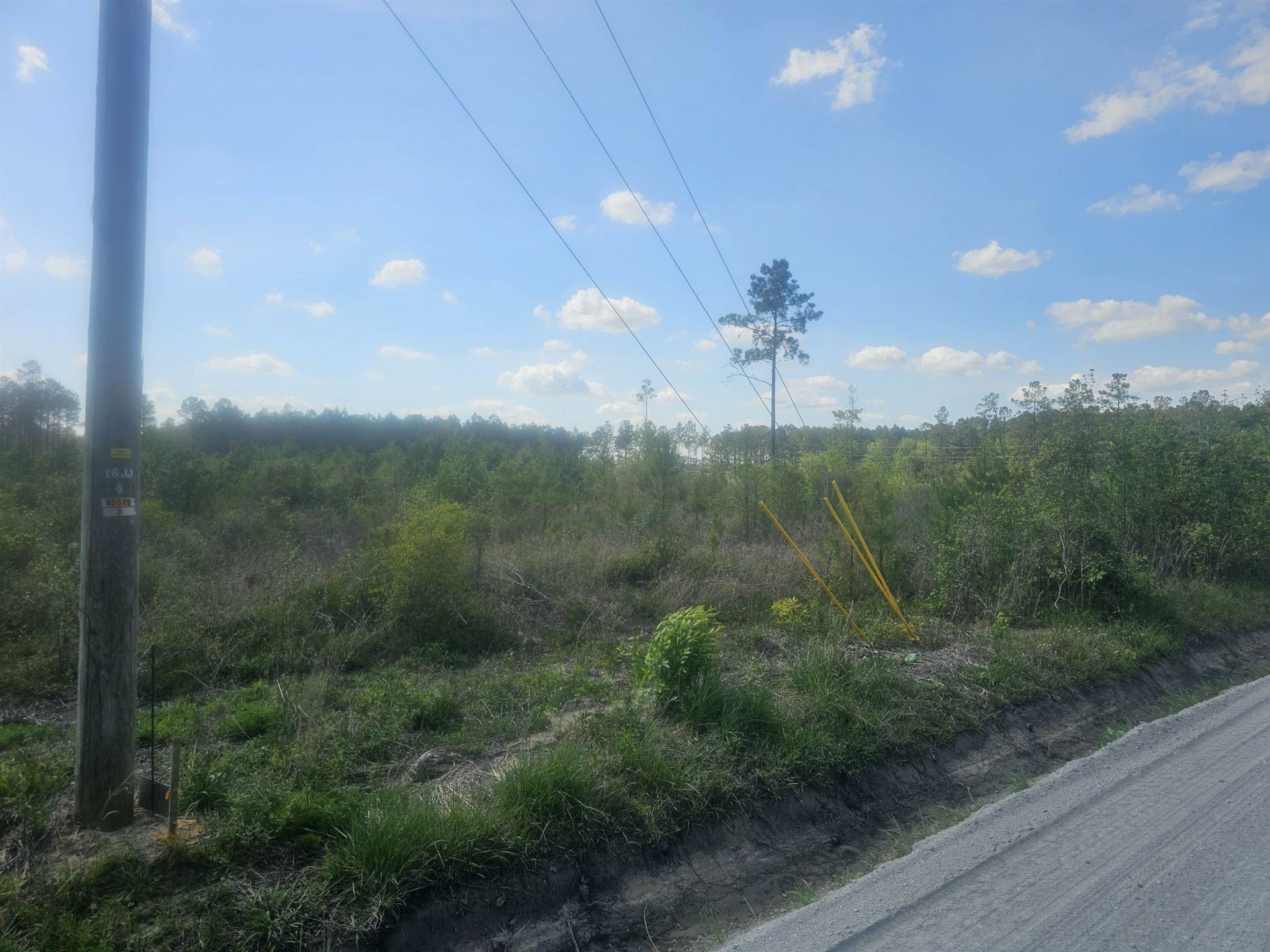 1285 Cheyenne Rd. Photo 4