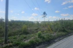 1285 Cheyenne Rd. photo 4