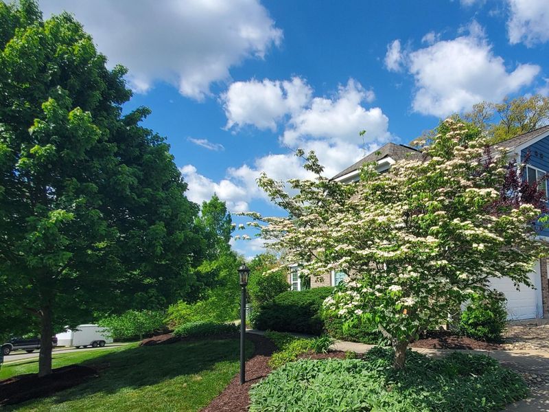 11076 War Admiral Drive, Union, KY 41091 Photo 45