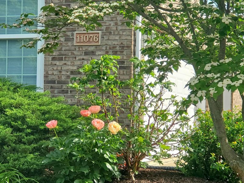 11076 War Admiral Drive, Union, KY 41091 Photo 50