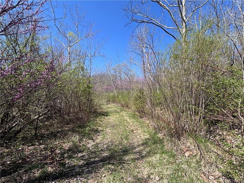 0 State Route 121, New Paris, OH 45347 Photo 25