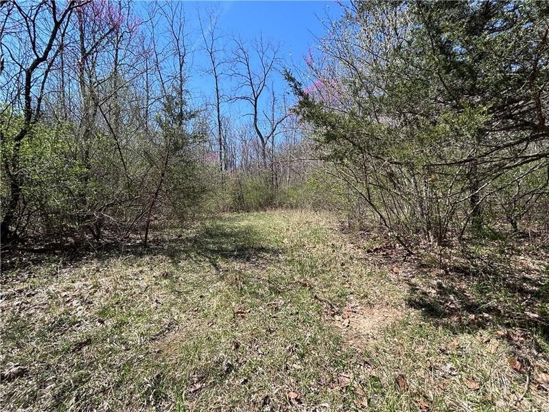 0 State Route 121, New Paris, OH 45347 Photo 26