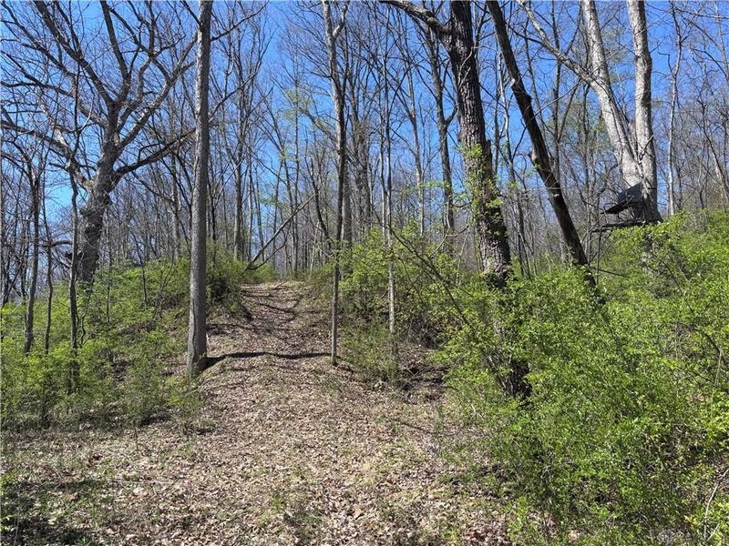 0 State Route 121, New Paris, OH 45347 Photo 29