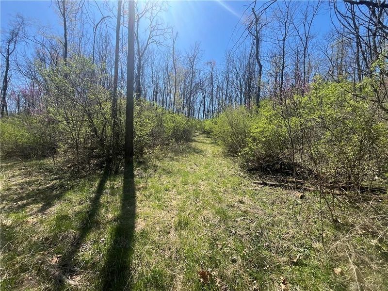 0 State Route 121, New Paris, OH 45347 Photo 30