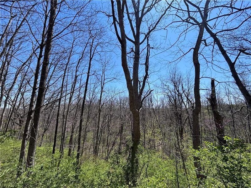 0 State Route 121, New Paris, OH 45347 Photo 32