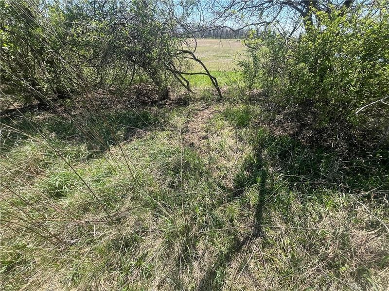 0 State Route 121, New Paris, OH 45347 Photo 33