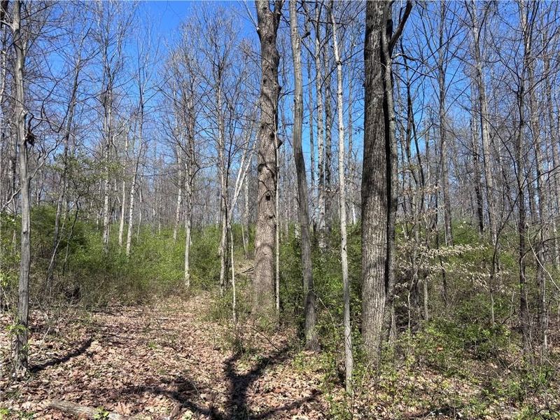 0 State Route 121, New Paris, OH 45347 Photo 35