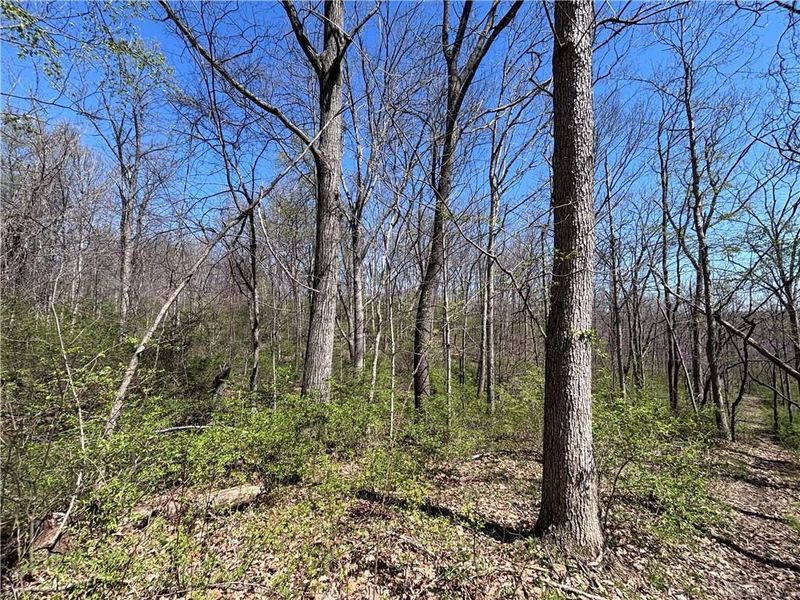 0 State Route 121, New Paris, OH 45347 Photo 37