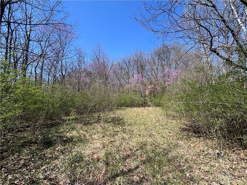 0 State Route 121, New Paris, OH 45347 Photo 38