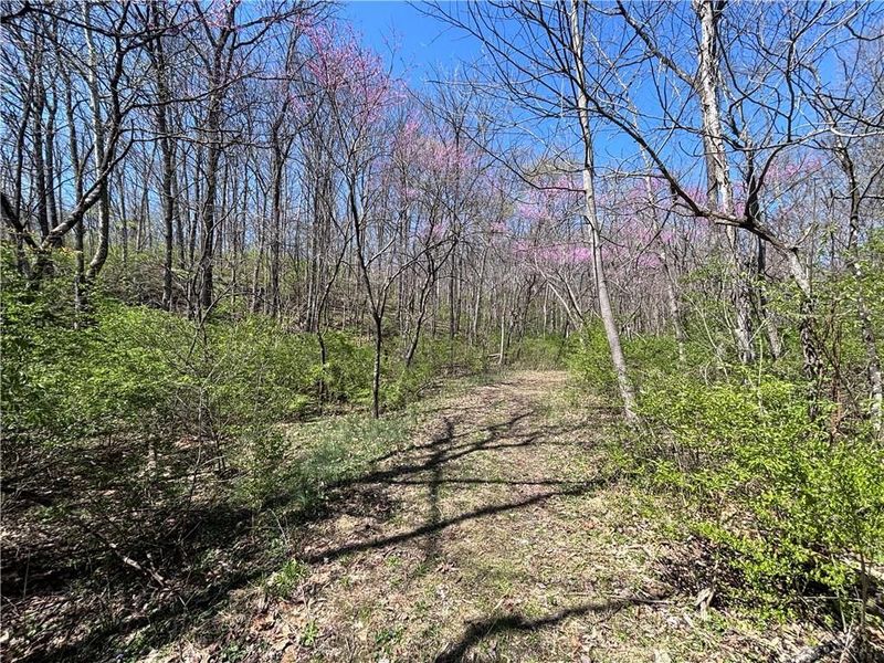 0 State Route 121, New Paris, OH 45347 Photo 40