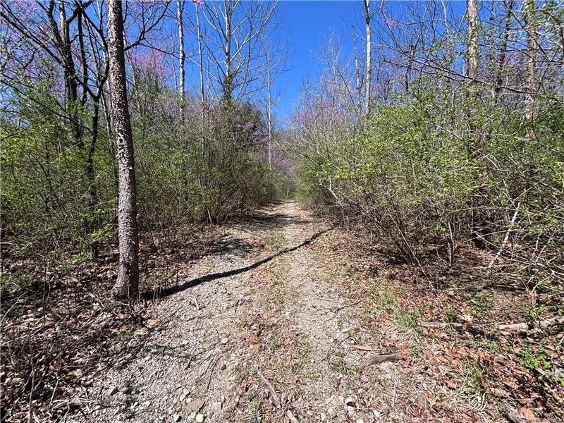 0 State Route 121, New Paris, OH 45347 Photo 41