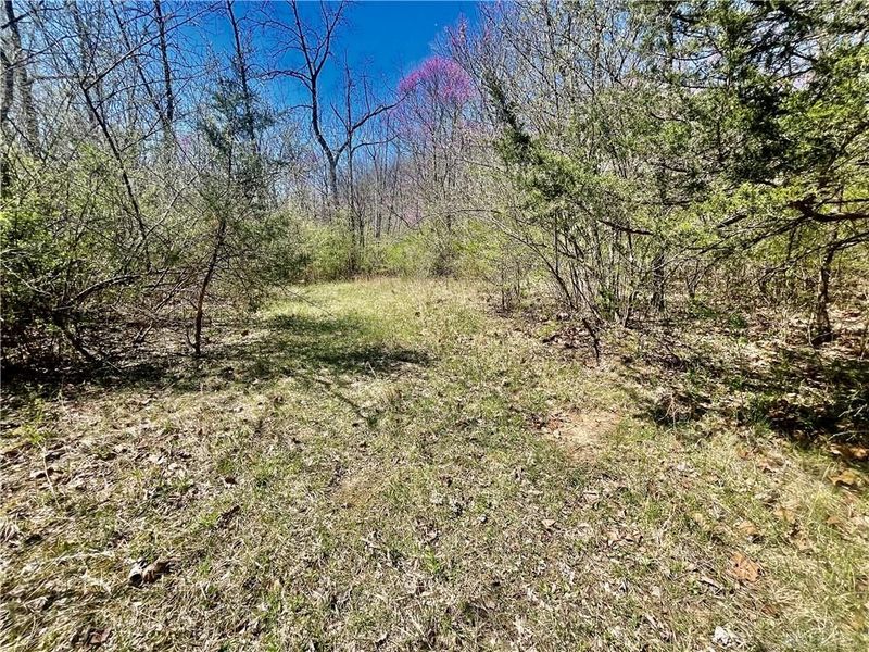 0 State Route 121, New Paris, OH 45347 Photo 44