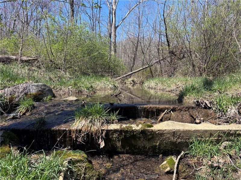 0 State Route 121, New Paris, OH 45347 Photo 48