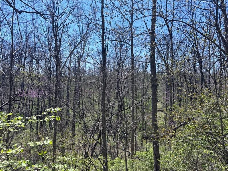 0 State Route 121, New Paris, OH 45347 Photo 49