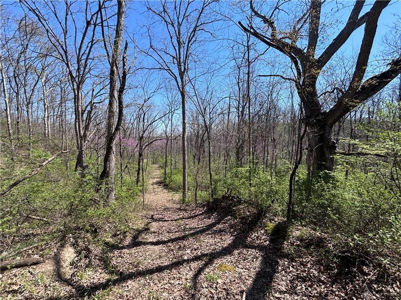 0 State Route 121, New Paris, OH 45347 Photo 50