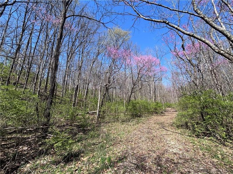 0 State Route 121, New Paris, OH 45347 Photo 52