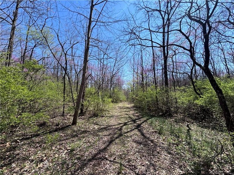 0 State Route 121, New Paris, OH 45347 Photo 56