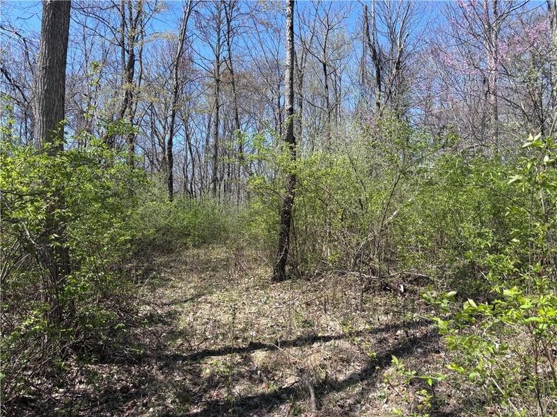 0 State Route 121, New Paris, OH 45347 Photo 57