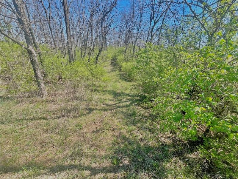 0 State Route 121, New Paris, OH 45347 Photo 58