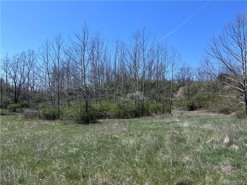 0 State Route 121, New Paris, OH 45347 Photo 59