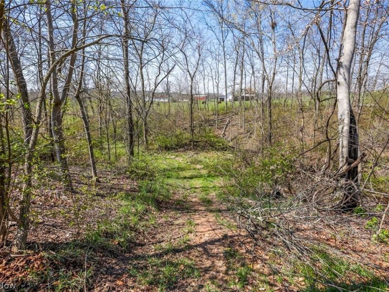 4502 Clover Road, Cumberland, OH 43732 Photo 28