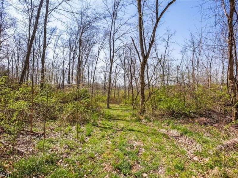 4502 Clover Road, Cumberland, OH 43732 Photo 29