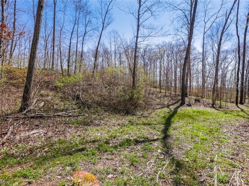 4502 Clover Road, Cumberland, OH 43732 Photo 31