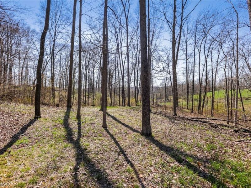 4502 Clover Road, Cumberland, OH 43732 Photo 32