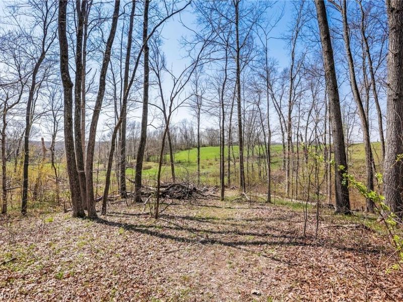 4502 Clover Road, Cumberland, OH 43732 Photo 33