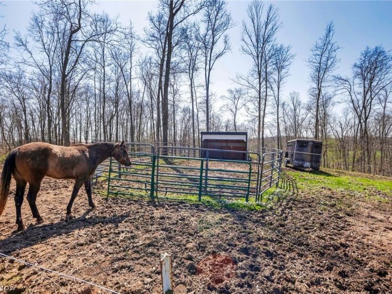 4502 Clover Road, Cumberland, OH 43732 Photo 38