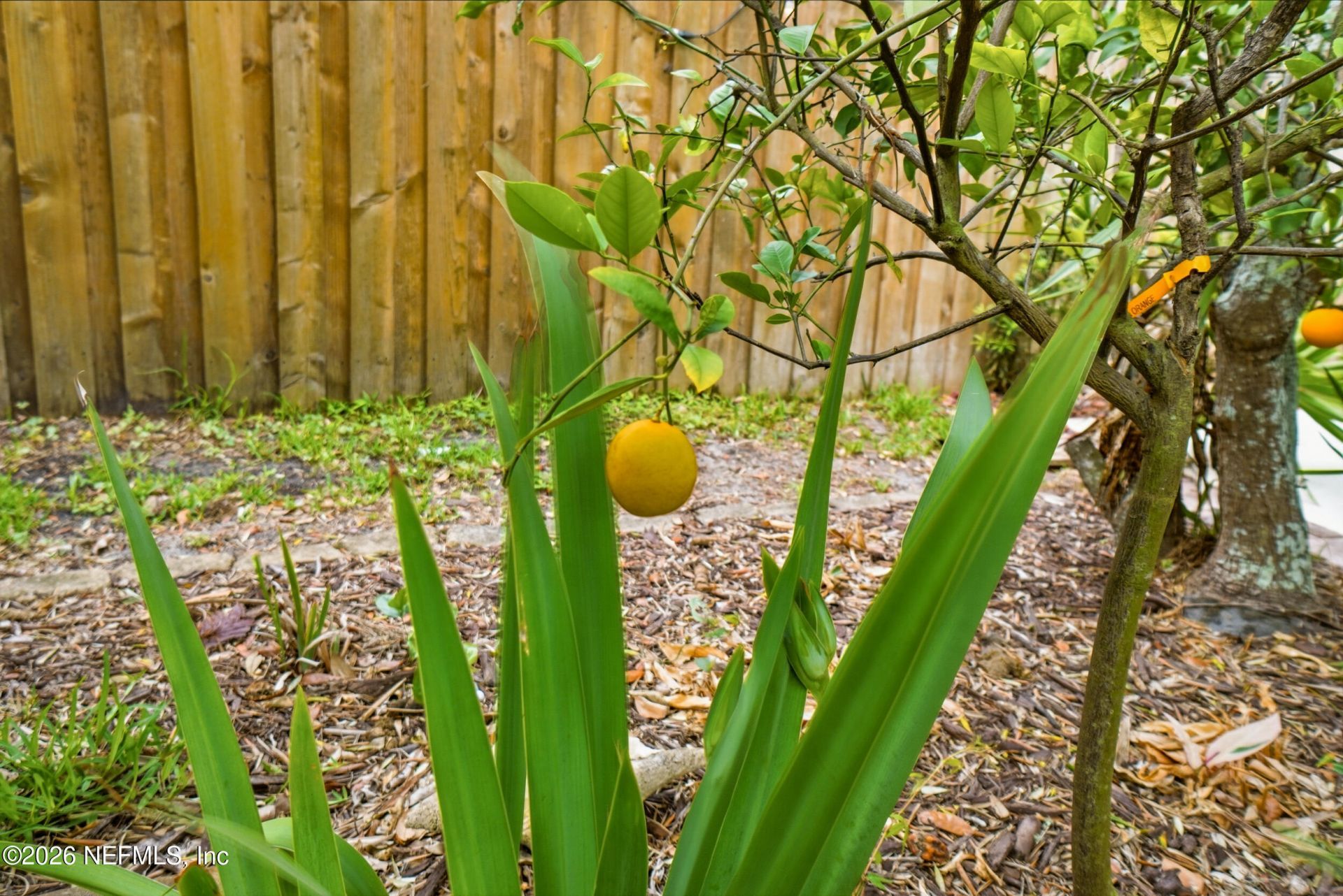 2018 Rosewood Drive, Neptune Beach, FL 32266 Photo