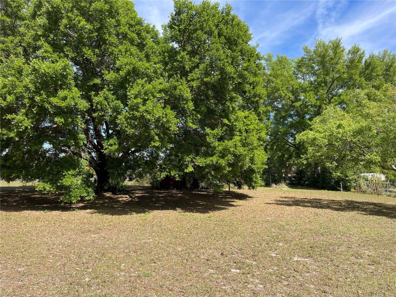 15121 SE 175th Street , Weirsdale, FL 32195 Photo