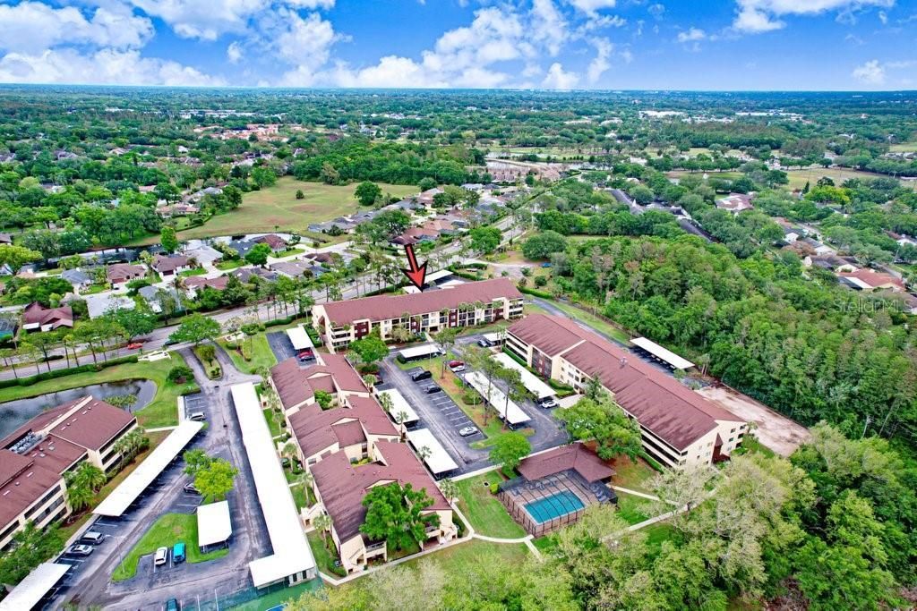 13602 S Village Drive , Unit 1205, Tampa, FL 33618 Photo