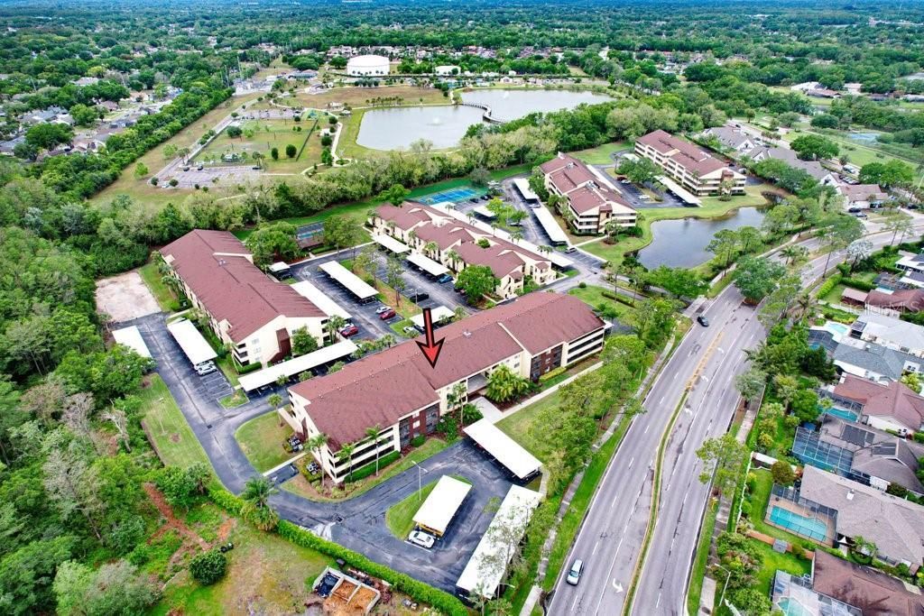 13602 S Village Drive , Unit 1205, Tampa, FL 33618 Photo