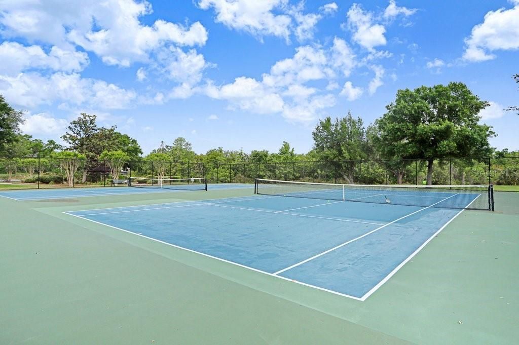 13602 S Village Drive , Unit 1205, Tampa, FL 33618 Photo